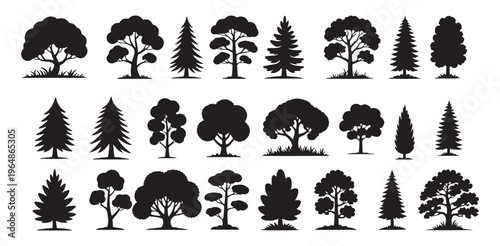 Set of black trees silhouettes. Tree vector collection, for forest and park landscape designs