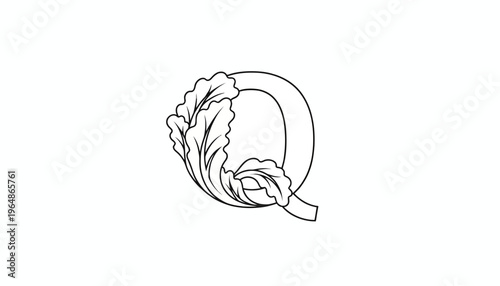 Ornate uppercase 'Q' adorned with elegant botanical leaf scrollwork in black and white line art