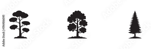 Three silhouette vector images depicting stylized broadleaf and narrow conical evergreen trees isolated