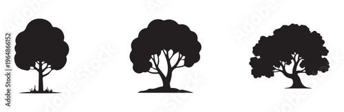 Three stylized black silhouette deciduous trees isolated on white background natural landscape element