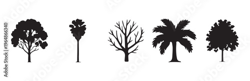 Variety of five tree silhouettes showing palm spruce bare deciduous and broad canopy styles in vector