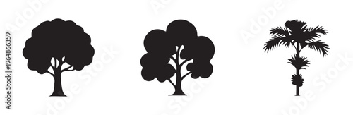 Two large round deciduous tree silhouettes and one tall slender palm tree icon against white