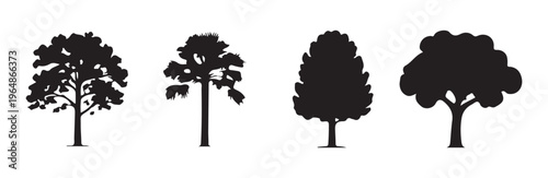 Set of silhouettes depicting various deciduous and tropical tree shapes for design