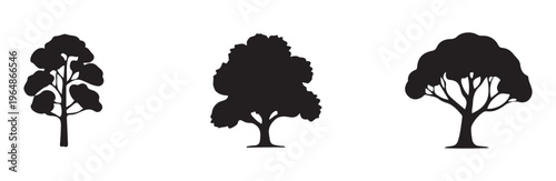 Set of three black silhouette vector icons representing deciduous trees in different shapes