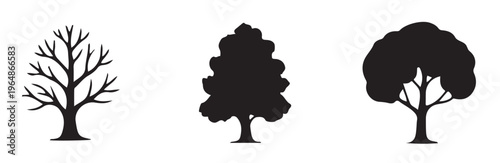 Three distinct black silhouettes representing bare winter tree leafy summer and conical types