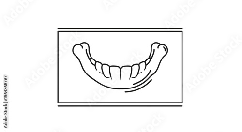 Modern Dental X-Ray Representation of Lower Jaw Structure for Medical Concepts