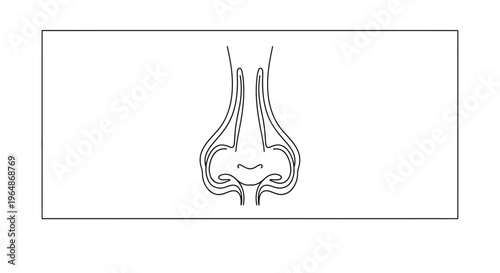 Elegant minimalist line drawing depicting the intricate structure of a human nose on a clean