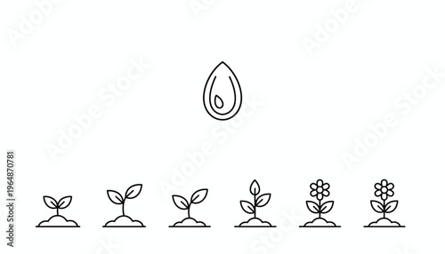 Plant Growth Stages: Seed to Blooming Flower Icons