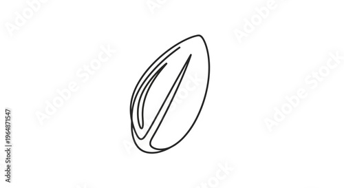 Minimalist Almond Outline Icon, Single Nut Seed Vector Graphic