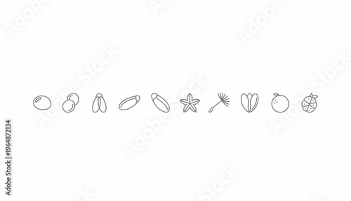 Minimalist Seed Icons: Organic Shapes Collection for Nature and Growth Concepts