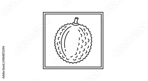 Lychee Fruit Icon Outline Vector Illustration