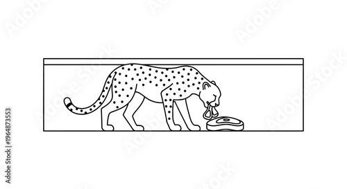 Monochrome wild cheetah savoring a fresh meat meal in a minimalist line art illustration