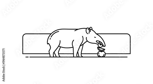 Clean line art illustration of a tapir enjoying fresh fruit slices, a simplified wildlife feeding