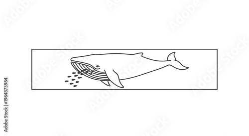 Minimalist outline drawing of a majestic baleen whale actively filter-feeding on small fish in the