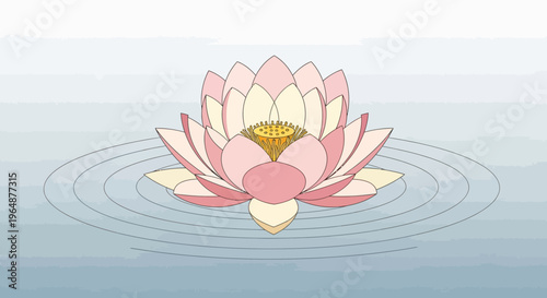 Pink Lotus Flower Blooming Water 1.