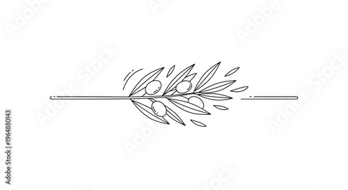 Minimalist olive branch line art illustration gracefully centered on a clean white background