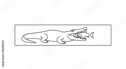 Minimalist black and white line illustration of an alligator with a fish in its mouth