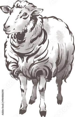 年賀2027　手描きの羊の水墨画、墨絵、水彩、未年の年賀状素材　イラスト　デザイン　アート