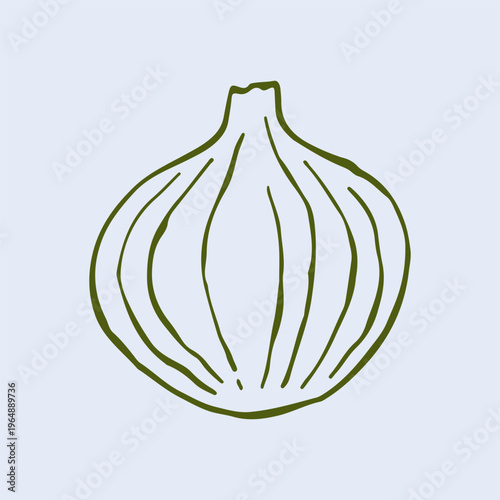 Artistic vector drawing of a whole white or red onion in a minimalist hand drawn style. Versatile vegetable line art suitable for kitchen decor and healthy culinary blog content