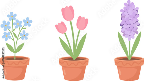 Three potted spring flowers: blue forget-me-nots, pink tulips, and a purple hyacinth in terracotta pots on a white background. Simple and colorful
