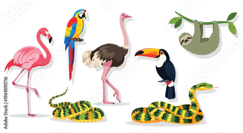 Exotic Animals Collection: Flamingo, Parrot, Ostrich, Toucan, Sloth, Snakes