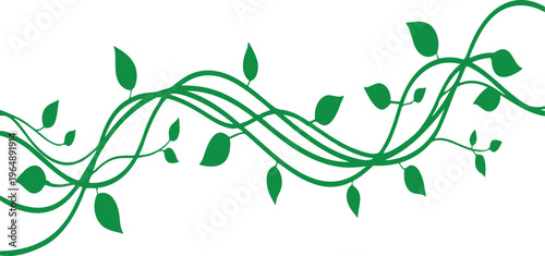 Elegant Green Vine with Leaves, Abstract Nature Illustration