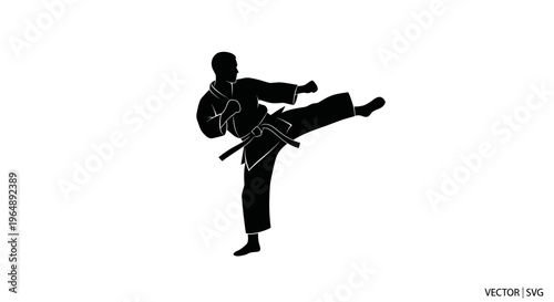 Karate fighter silhouette performing a side kick in a dojo uniform