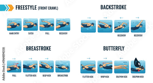 Swimming Strokes Explained: Freestyle, Backstroke, Breaststroke, Butterfly