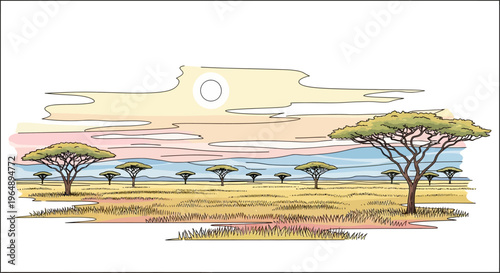 Acacia trees in savannah landscape scene.