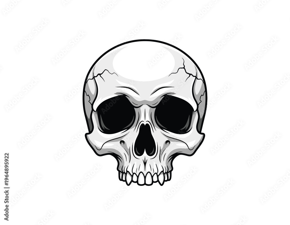Obraz premium A realistic illustration of a human skull, depicted from the front view, with a stark white background, perfect for design projects