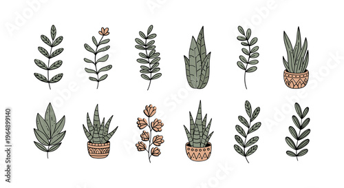 Variety of Potted Succulent Plants 1.