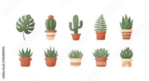 Variety of Potted Succulent Plants 2.