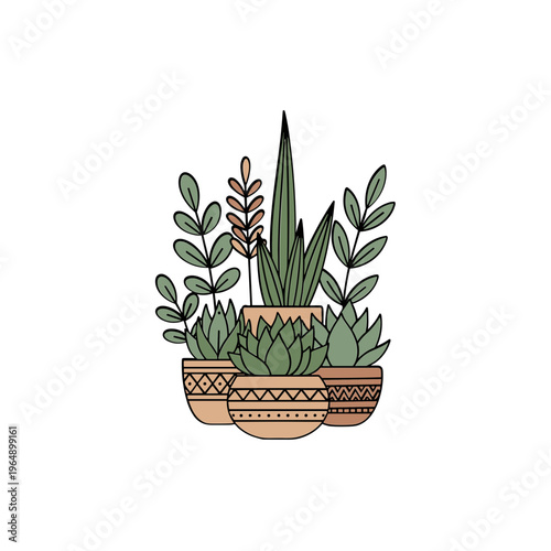 Variety of Succulent Plants Together.