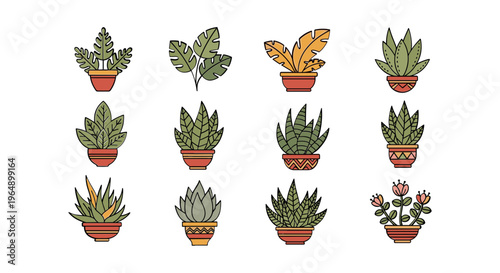 Variety of small potted succulents plants.