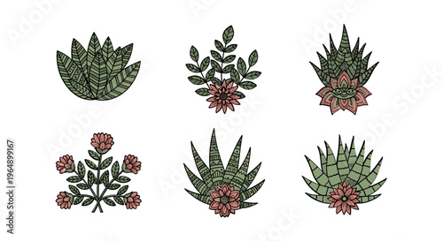 Variety of Prickly Pear Cactus Plants.