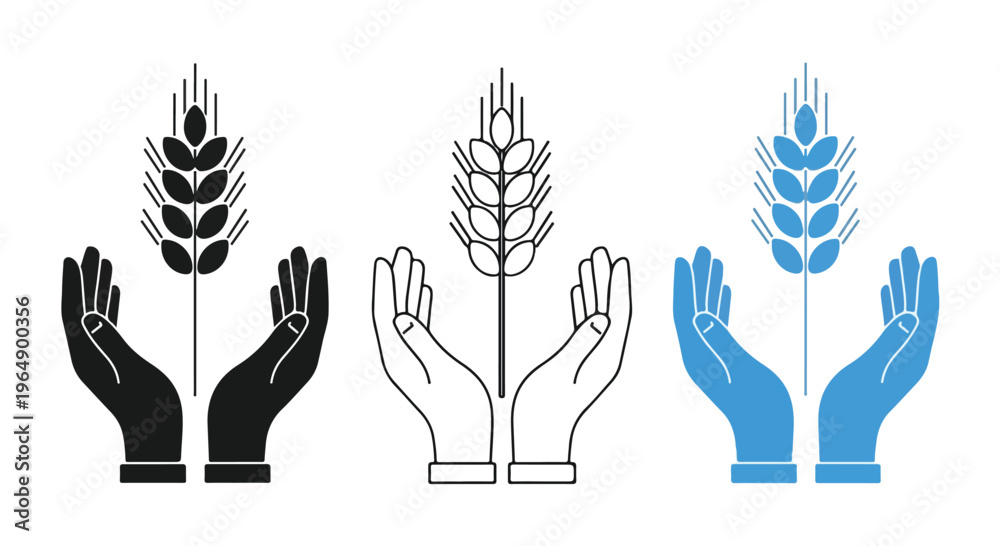 Fototapeta premium Graphic illustration of three hands holding wheat stalks in black, white and blue on a white background.