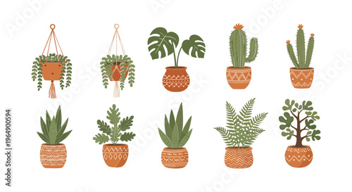 Various types of potted houseplants collection.