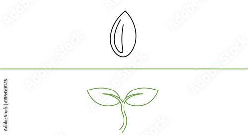 Seedling Sprouting from Seed with Water Droplet Above, symbolizing Growth and New Life