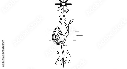 Seedling Sprouts from Seed with Sun, Water, and Soil - Growth Concept