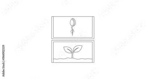 Seedling Growth Stages: Sprout Emerging from Seed to Young Plant in Soil
