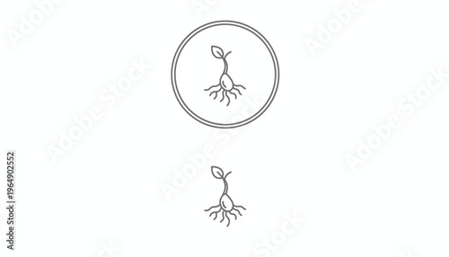 Seedling sprout growing from seed with roots, icon and simple illustration