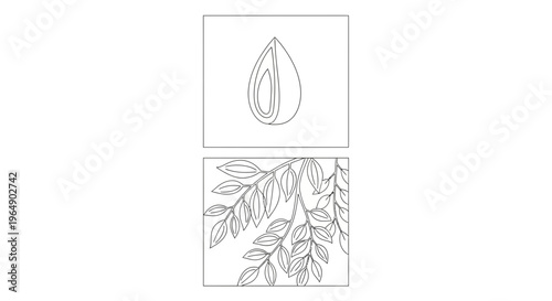 Seed and Leafy Branch: Nature's Growth Cycle, Botanical Illustration