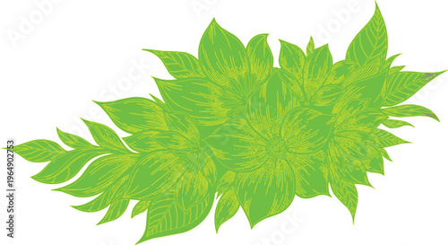 Fresh organic green maple and nettle leaves on a spring branch isolated on a white background create a natural foliage pattern for summer botany flora