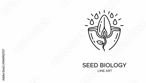 Seed Biology Line Art: Germination Process with Water Drops