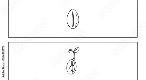 Seed Germination: From Seed to Sprout with Roots and Leaves