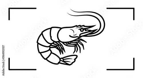 Stylized marine crustacean vector illustration framed for aquatic themed design elements minimal