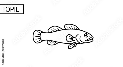 Simple Line Art Cartoon Fish Illustration with Minimalist Design and Clean Outlines