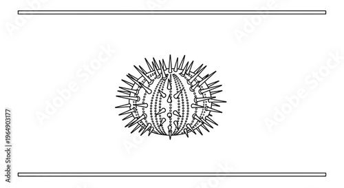 Intricate monochrome line art illustration of a spiky marine organism or biological cell structure