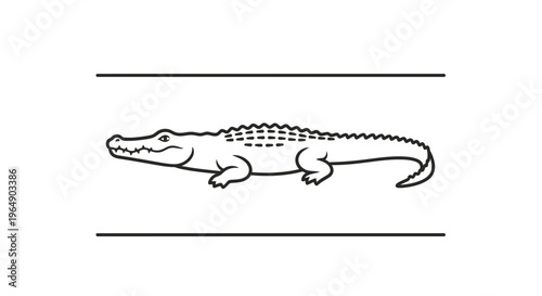 Stylized outline illustration of a fierce alligator a simple vector graphic representation