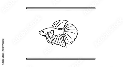 Elegant hand-drawn betta fish illustration showcasing its intricate fin details and graceful